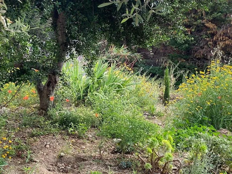 La Maison Rose - Rez De Jardin Villa 600M Plage, 2 Chambres 6 Personnes Le Lavandou